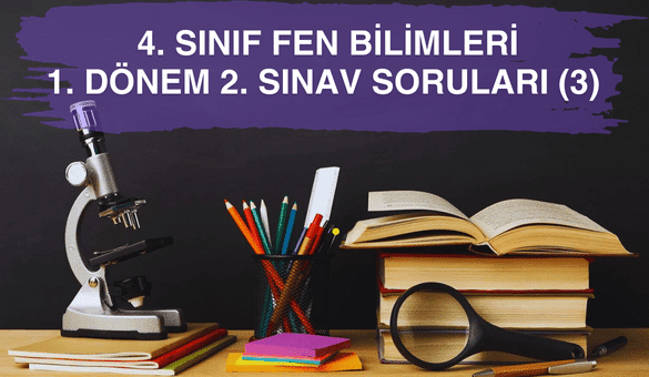 4. Sınıf Fen Bilgisi 1. Dönem 2. Sınav Soruları