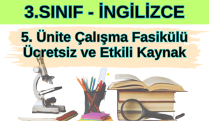 İlkokul 3. Sınıf İngilizce 5. Ünite Çalışma Fasikülü - Ücretsiz ve Etkili Kaynak